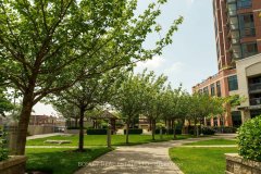 1913-60-heintzman-street-toronto-W8401364-29-p