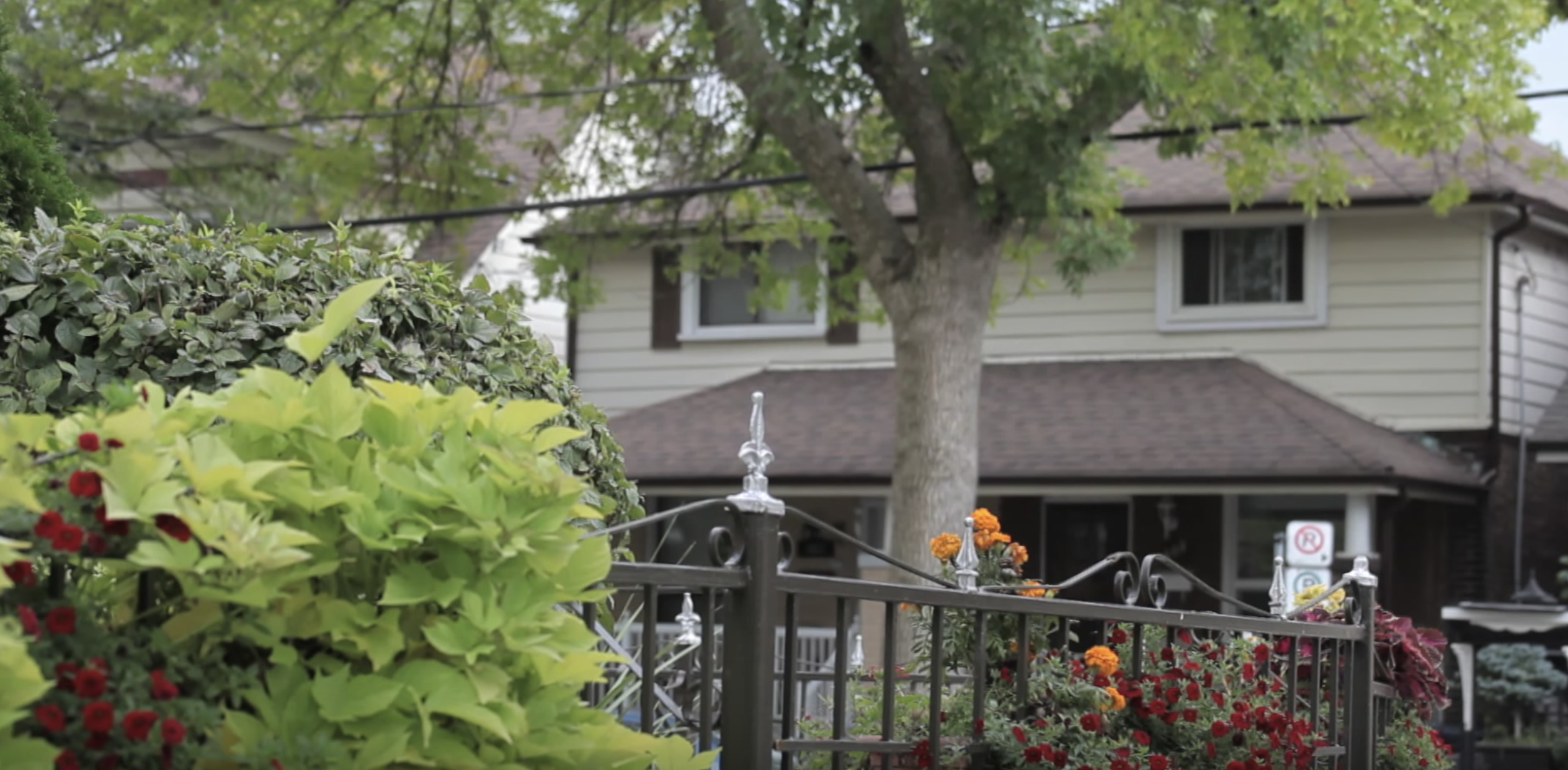 Video narrated by yours truly showcases Danforth East neighbourhood